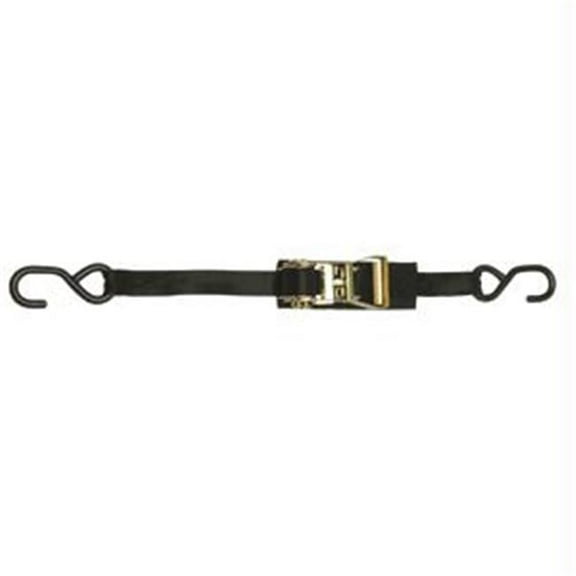 1 CamBuckle Transom/Utility Tie - Down - 1 x 3.5 -