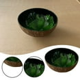 1*Coconut Shell Bowl, Coconut Bowls Decorative Bowl for Keys for