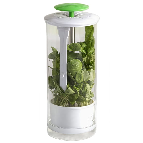 1 Count Herb Fresh Keeping Box For Herbs And Vegetables, Stylish Design, Ideal For Storing Cilantro And Other Greens, Perfect Kitchen Accessory