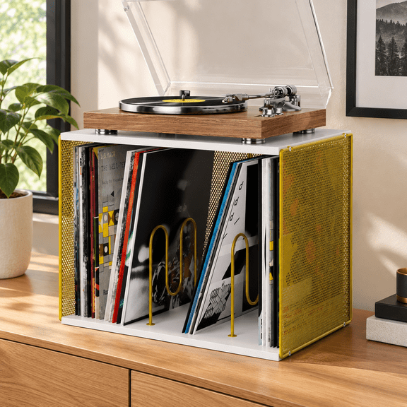 1 Cube Vinyl Record Storage, Wooden Stackable Record Crate, White & Gold