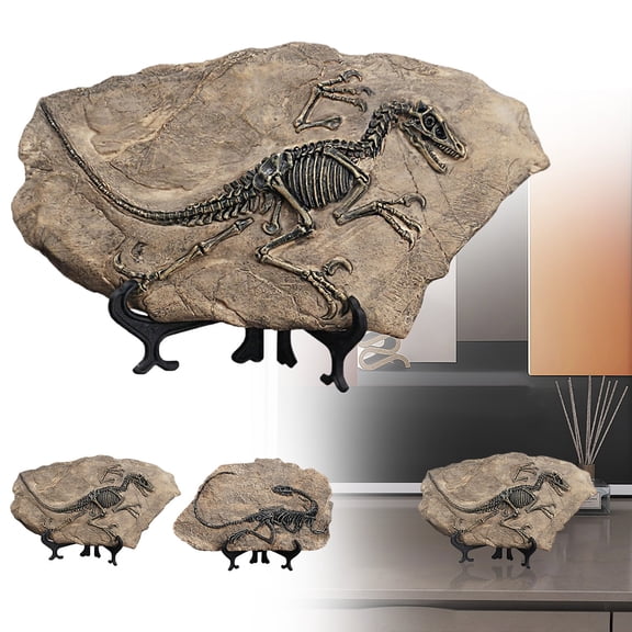 1 Dinosaur Fossil Clearance! Dinosaur Statues Home Decorations Indoor Sculpture Skeleton Figurines House Decor Desktop Bookshelf Art Figures Crafts Desk Ornaments for Living Room Book