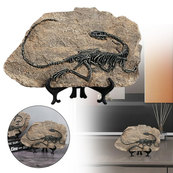 1 Dinosaur Fossil Clearance! Dinosaur Statues Home Decorations Indoor Sculpture Skeleton Figurines House Decor Desktop Bookshelf Art Figures Crafts Desk Ornaments for Living Room Book