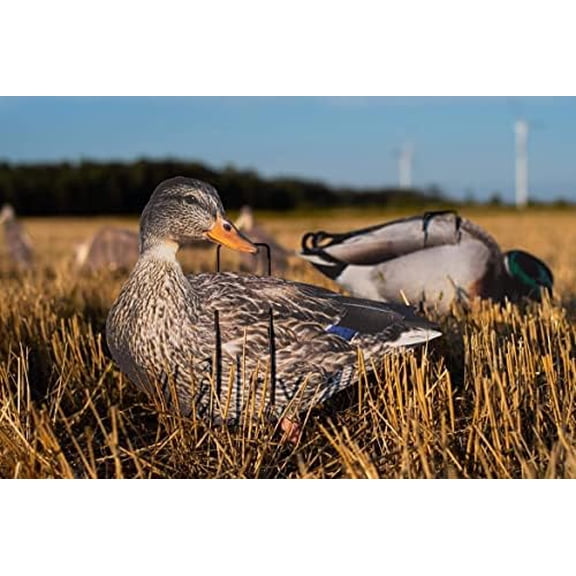1 Doz Mallard Silhouette Duck Decoys$$Other