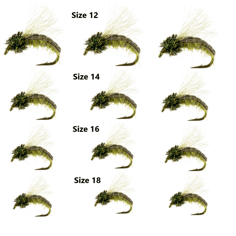 1 Dozen (4 Sizes) Caddis Larva Olive Colored Nymph Pattern. a