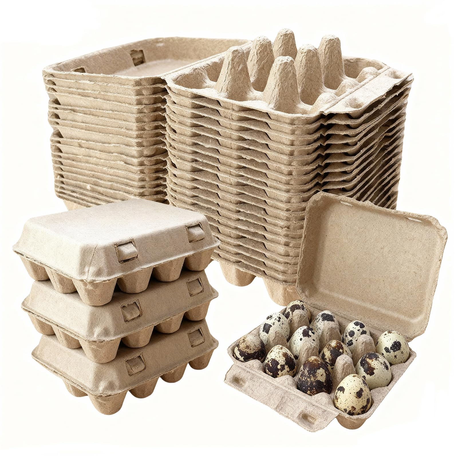 1 Dozen Paper Pulp Small Quail Bird Egg Cartons Cheap Bulk Farm Fresh Eggs hatching Box Tray Basket Countertop Holder Storage Container Reusable Button Quail Supplies 12 Count (50)