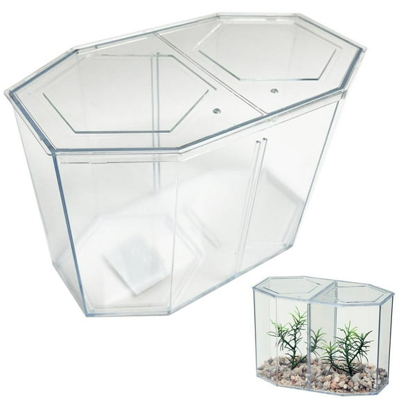 1 Dual Betta Hex Kit Tank Pet Aquatic Fishes Aquarium Habitat Office Home Decor