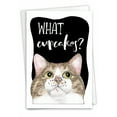 thumbnail image 1 of 1 Funny Birthday Card with Envelope - Cat Antics C3638ABDG, 1 of 6