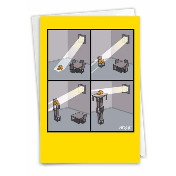 1 Funny Congratulations Card with Envelope - Cat Light Congrats C3350CGG