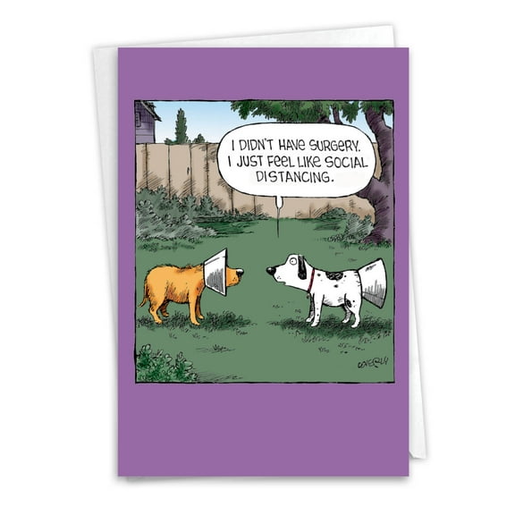 NobleWorks Funny Dogs Get Well Greeting Card w/ 5x7 Envelope (1 Card), for Men, Women, No Surgery C9293GWG