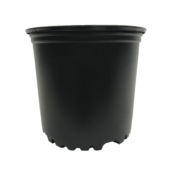 1 Gal. Nursery Pots, Set of 10