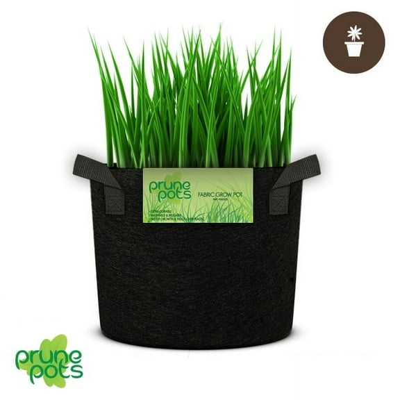 1 Gal. Prune Fabric Pot