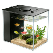 1 Gallon Plastic Fish Tank Kit with Fillter, LED Light and Lid,Black