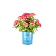 thumbnail image 1 of 1 Gallon Soul Mate™, 1 of 10