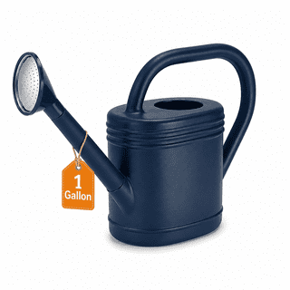 1 Gallon Watering Can for Indoor Plants, Plant Watering Can with Long Spout & Removable Sprinkler Head, Garden Watering Can for Outdoor Flowers, Houseplants & Patio, Blue