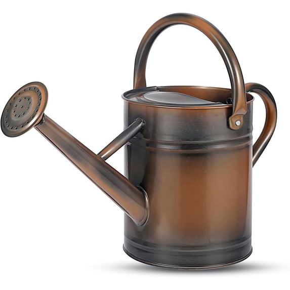 1 Gallon Watering Can for Plants, Watering Cans for Indoor&Outdoor Gardening, Galvanized Steel Watering Pot with Removable Spout, Metal Water Can with Ergonomic Movable Handle(Copper)