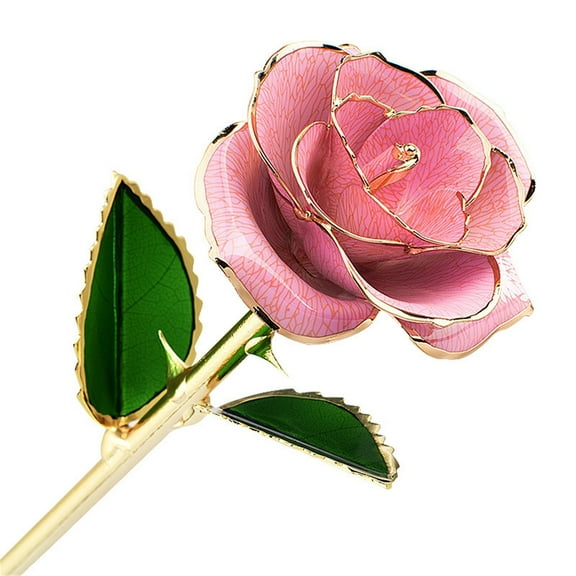 1 Gold-Plated Rose - Gold Dipped Rose Gold Rose with Transparent Stand Real Long Stem Rose Flower Best for Her Mom Wife Anniversary Mothers Day Birthday