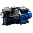 1 HP Swimming Pool Pump With Strainer 110V/230V 1.5