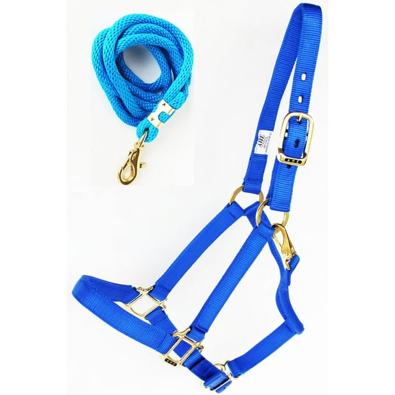 1" Horse Western Nylon Web Throat Snap Halter Brass Plated Tack 107HL01BL