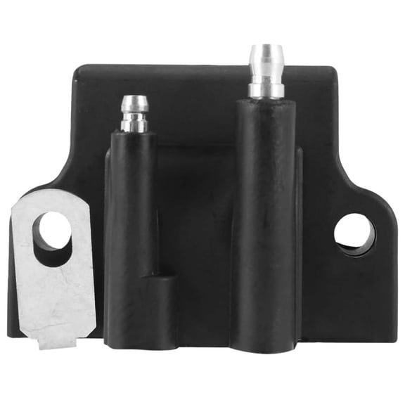 1*Ignition coil-black