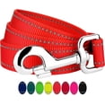 thumbnail image 1 of 1 Inch Blaze Orange Reflective Nylon Dog Leash - 6 Foot, 1 of 4