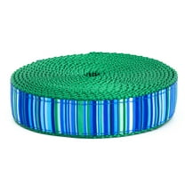 Country Brook Design® 1 Inch Blue Serape Ribbon on Christmas Green Nylon Webbing, 20 Yards