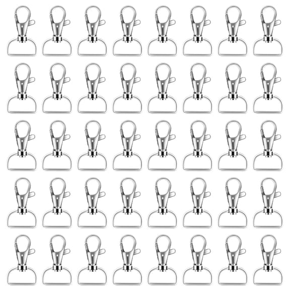 1 Inch D Rings Metal Lobster Claw Clasps for Making Snap Tabs, Keychain Hardware