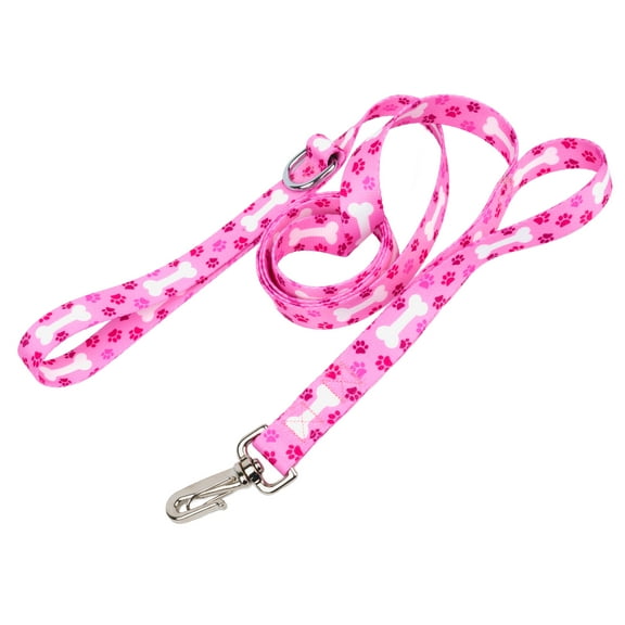 Country Brook Petz 1 Inch Deluxe Pink Oh My Dog Dog Leash, 6 Foot