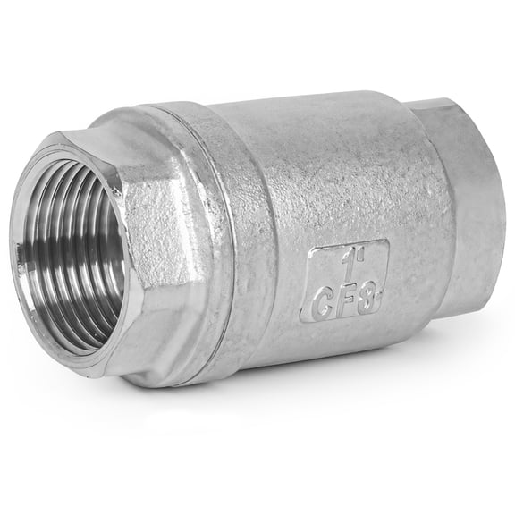 1 Inch NPT Stainless Steel Check Valve, Vertical One Way Flow Control, Spring Loaded Industrial Grade, High Pressure Water System, with PTFE Seal Ring
