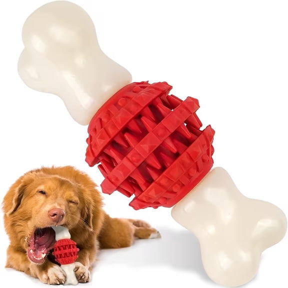 1 Interactive Ball and Bone Dog Chew Toy - Durable Nylon Teeth Healthy Textured Design, Orange/Red/Blue Fits All Breeds Sizes (Small, Medium, Large) - Promotes Teeth Cleaning & Play Fun