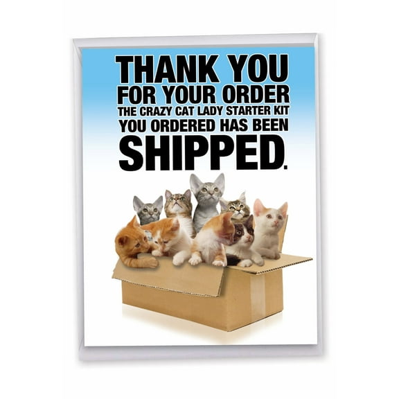 1 Large Funny Blank All Occasion Greeting Card (8.5 x 11 Inch) - Cat Lady Starter Kit All-Occasion Card J8016K