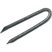 1 Lb. 1-1/4" Fence Staple Prime Source Nails 720759 009326705088