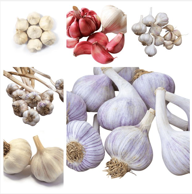 1 Lb Mixed Garlic Bulbs, Random Chesnok Red Garlic Music Garlic  Italian Garlic German Garlic Russian Garlic Cloves, Hardneck Garlic Tubers, Ready To Planting