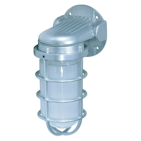 1 Light - 11" - Industrial Style - Wall Mount w/Frosted Glass