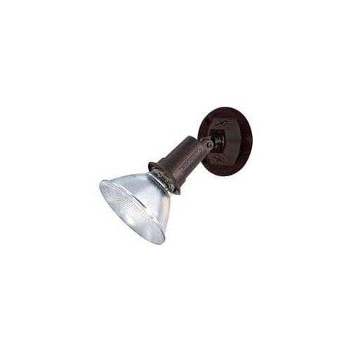 1 Light - 5" - Flood Light, Exterior - PAR38 w/Adjustable Swivel