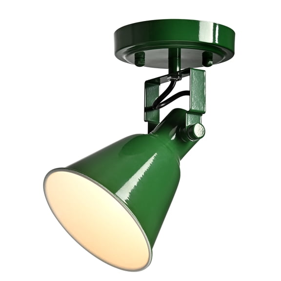 1-Light Adjustable Green Spotlight, Semi Flush Mount Track Light Ceiling Light Fixture for Bedroom, Kitchen, Hallway & Wall Art Display
