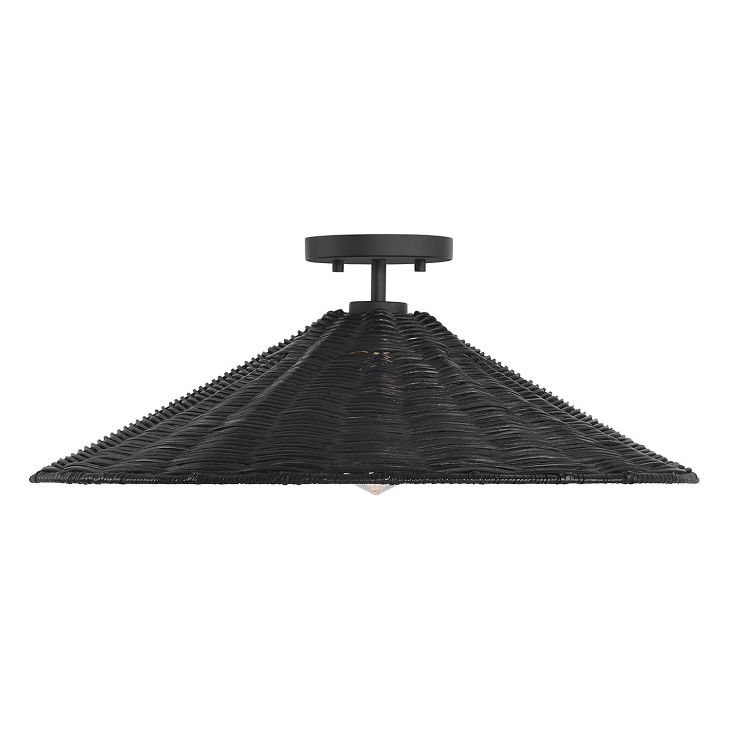 1-Light Ceiling Light in Matte Black