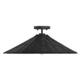 thumbnail image 1 of 1-Light Ceiling Light in Matte Black, 1 of 4