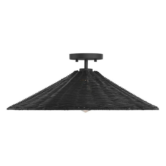 1-Light Ceiling Light in Matte Black