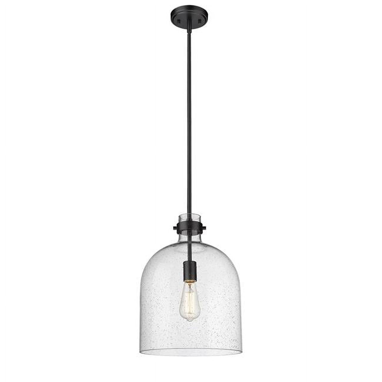 Matte Black Nickel Indoor/Outdoor Glass Pendant Light
