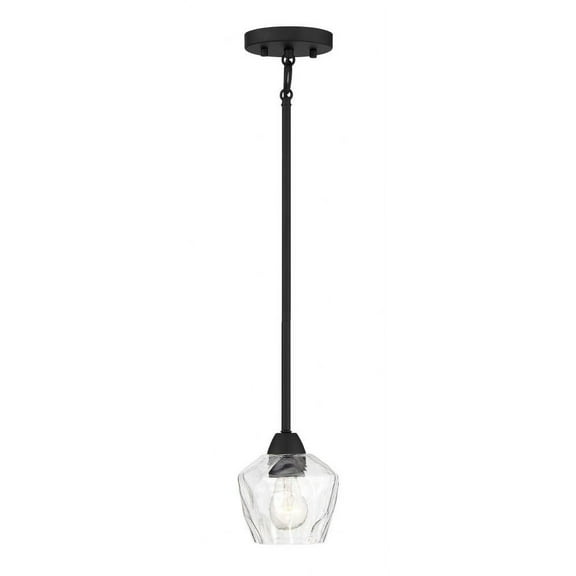 1 Light Convertible Mini Pendant-Coal Finish    -Traditional Installation Minka Lavery 2171-66A