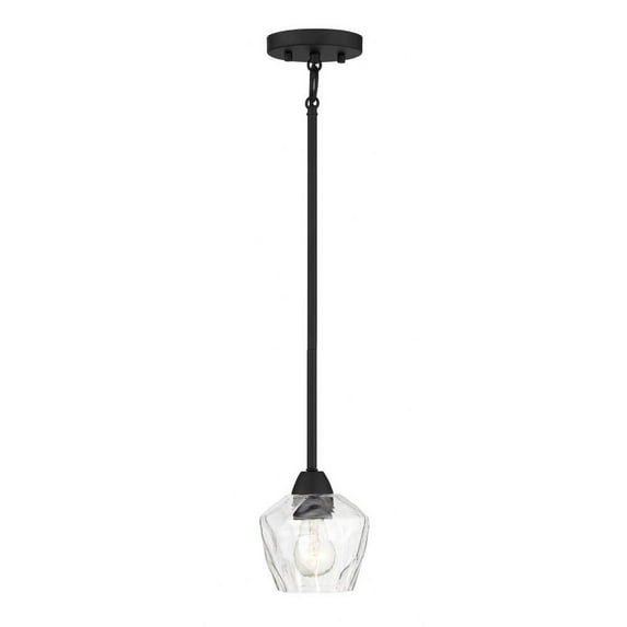 1 Light Convertible Mini Pendant-Coal Finish -Traditional Installation Minka Lavery 2171-66A