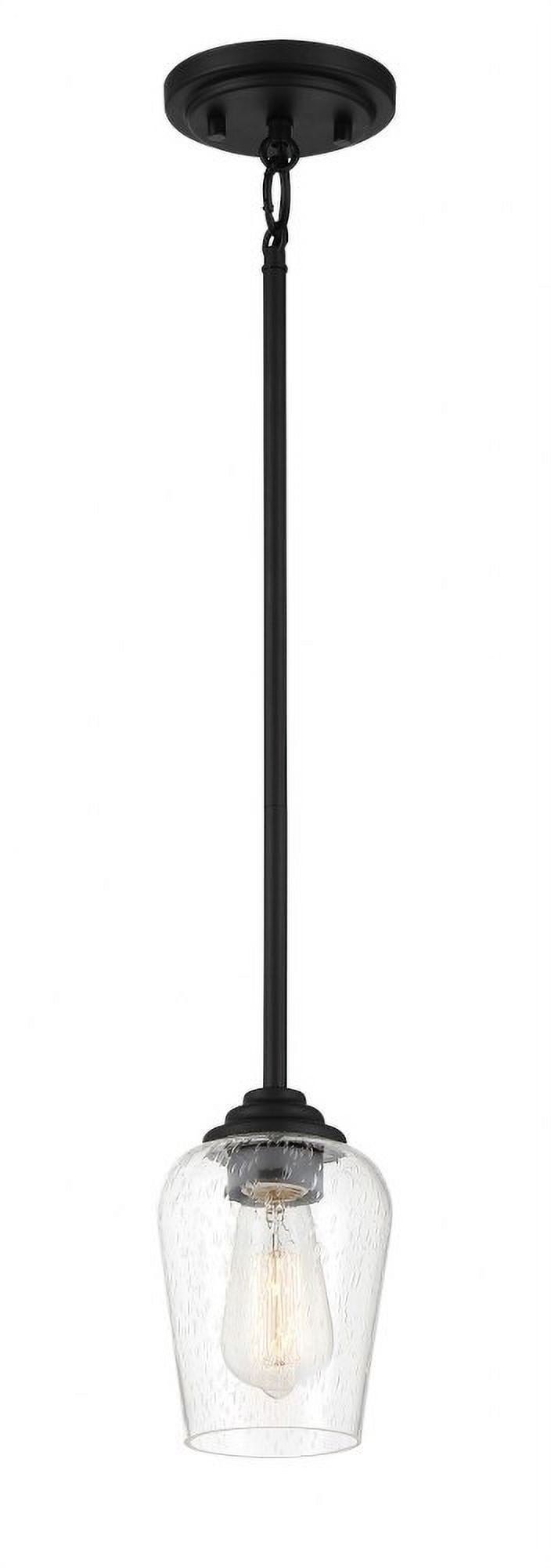 Coal Finish Black Mini Pendant with Clear Seeded Glass Shade