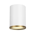 thumbnail image 1 of 1 Light Flush Mount Z-Lite 2303F1-Mw-Rb, 1 of 7