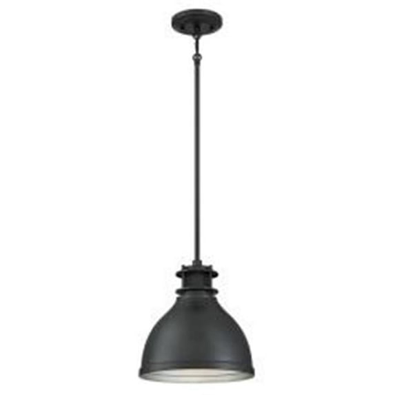 1 Light Indoor Pendant, Black