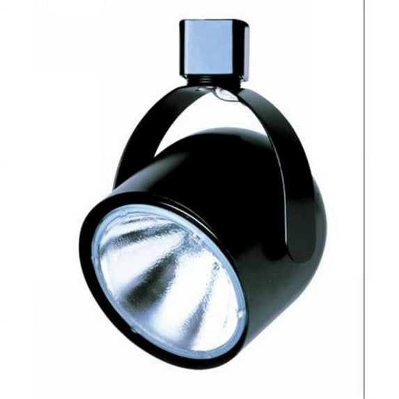 1 Light Line Voltage Fixture, White