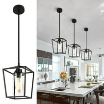 1-Light Matte Black Farmhouse Cage Latern Shaded Pendant Lighting with Clear Glass Shade