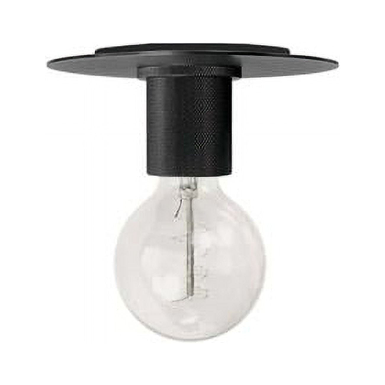 Matte Black Glass Drum Indoor/Outdoor Flush Mount Light