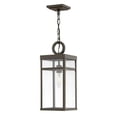 thumbnail image 1 of 1 Light Medium Outdoor Hanging Lantern in Transitional Style 7.5 inches Wide By 19 inches High-Oil Rubbed Bronze Finish-Led Lamping Type Bailey Street, 1 of 8
