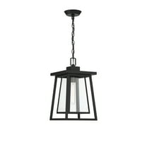 Denver 1-Light Outdoor Hanging Lantern in Matte Black