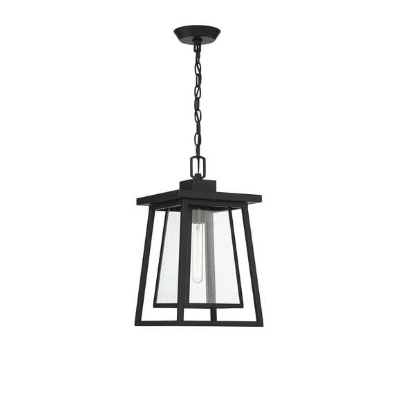 Denver 1-Light Outdoor Hanging Lantern in Matte Black